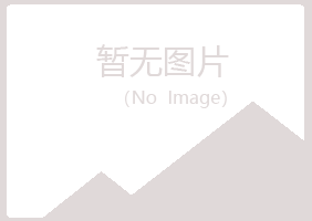 奎屯山柳工程有限公司